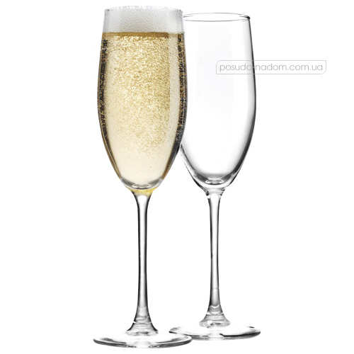 Набір келихів для шампанського Luminarc C4094 FRIENDS TIME 240 мл