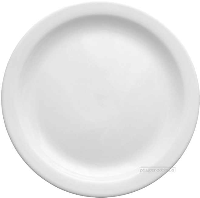 Тарелка обеденная Lubiana 204-0136 Ameryka 25 см