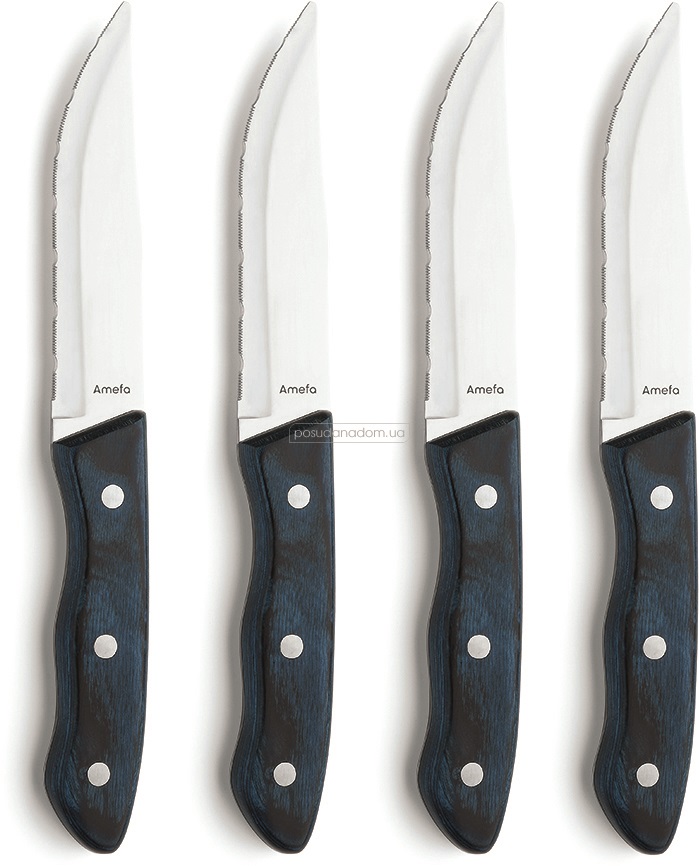Набор ножей Amefa F4917BLWA07SK8 Hercule