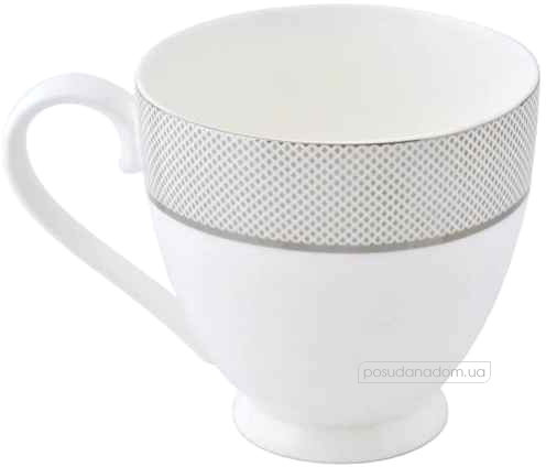 Чашка чайна із блюдцем Astera A0530-D-CS-G01 Antique 430 мл