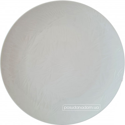 Тарілка обідня Astera A0680-TW001 Tropical White 27 см