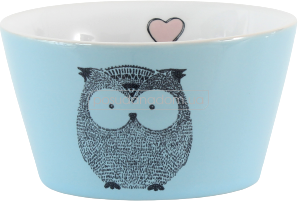 Салатник Limited Edition HTK-016 OWL FUNNY