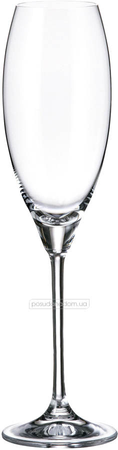 Набір бокалів для шампанського Bohemia 1SF06-290 Carduelis 290 мл