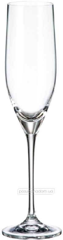 Набір бокалів для шампанського Bohemia 1SF60/00000/240 Sitta 240 мл