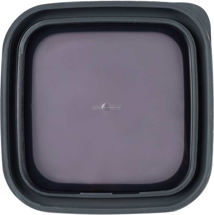 Контейнер для сыпучих Violet House 0309 Transparent Black 0.5 л, цвет