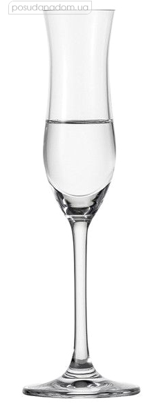Набор бокалов для крепкого алкоголя Schott Zwiesel 120221 60 мл