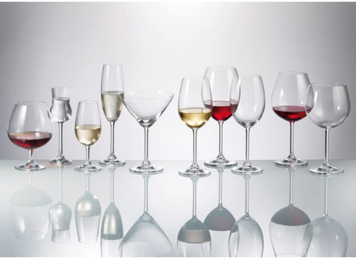 Набір бокалів для вина Bohemia 4S032/00000/450 Gastro collection (Colibri) 450 мл, каталог